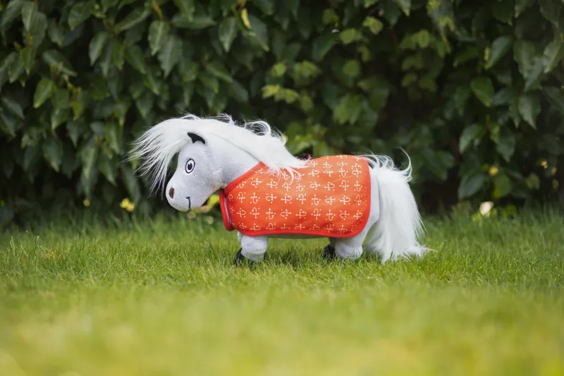 Hy Equestrian Thelwell Ponies - Tarquin the Pony